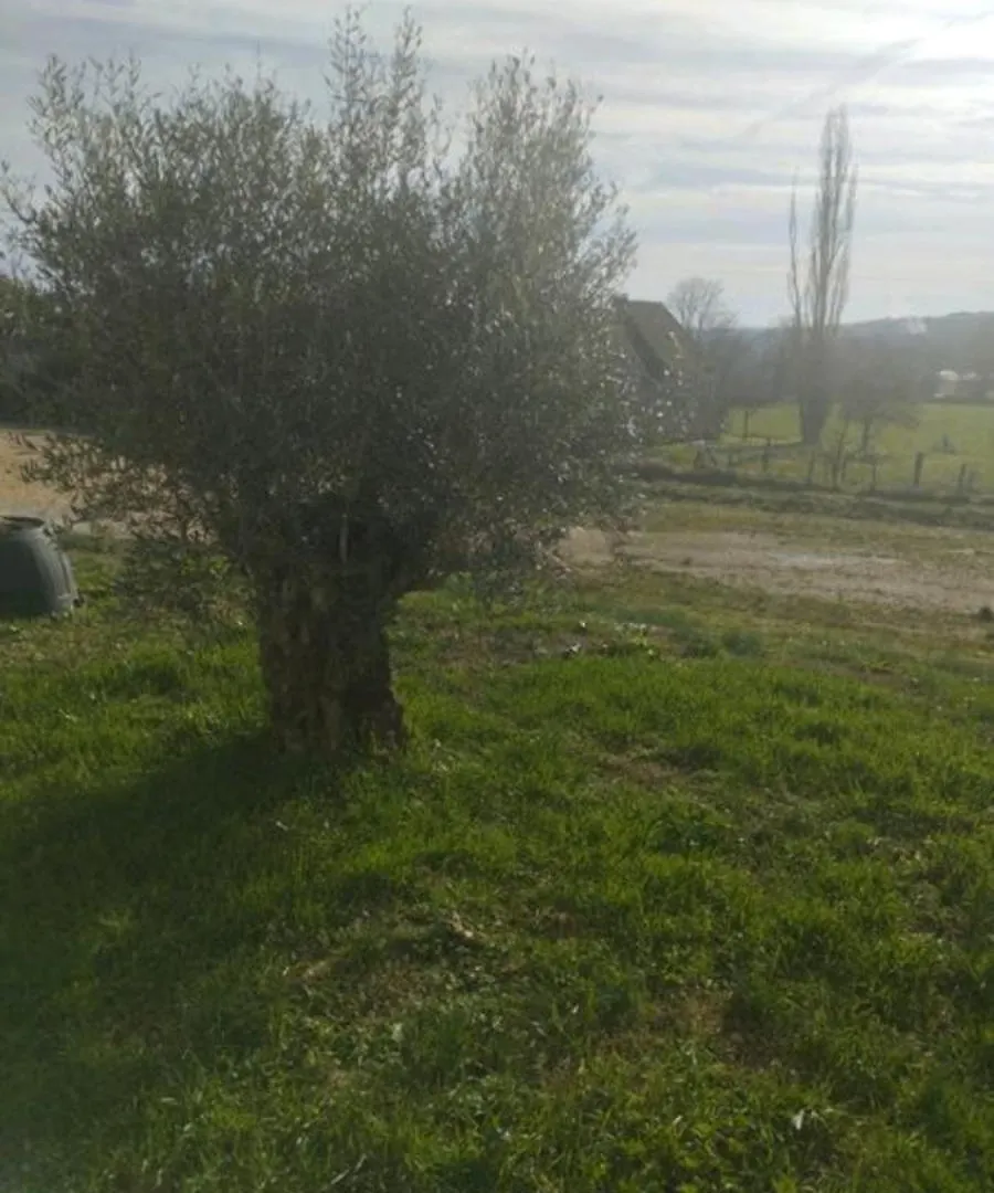 Domaine Des Gites De La Plaine Fajoles 프랑스